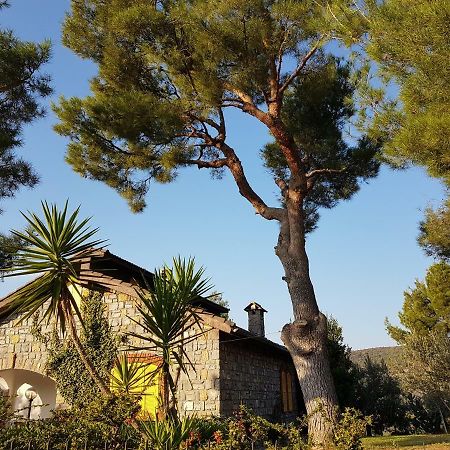 Villa Fior Di Lavanda Cisano sul Neva Extérieur photo