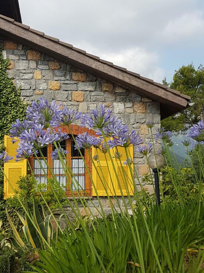 Villa Fior Di Lavanda Cisano sul Neva Extérieur photo