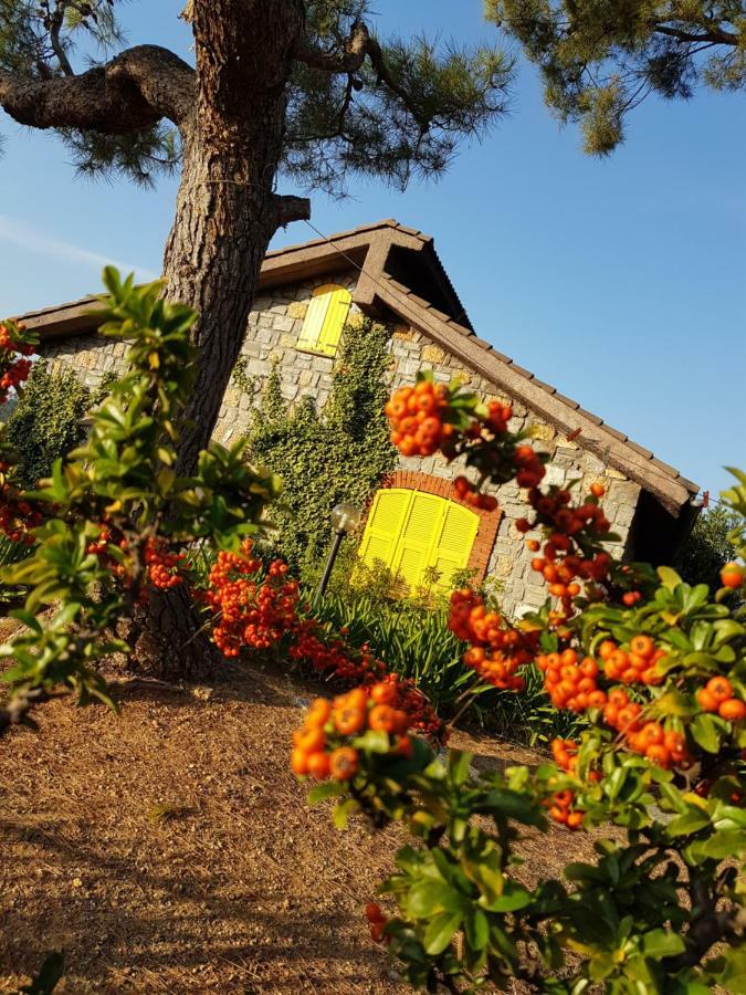 Villa Fior Di Lavanda Cisano sul Neva Extérieur photo