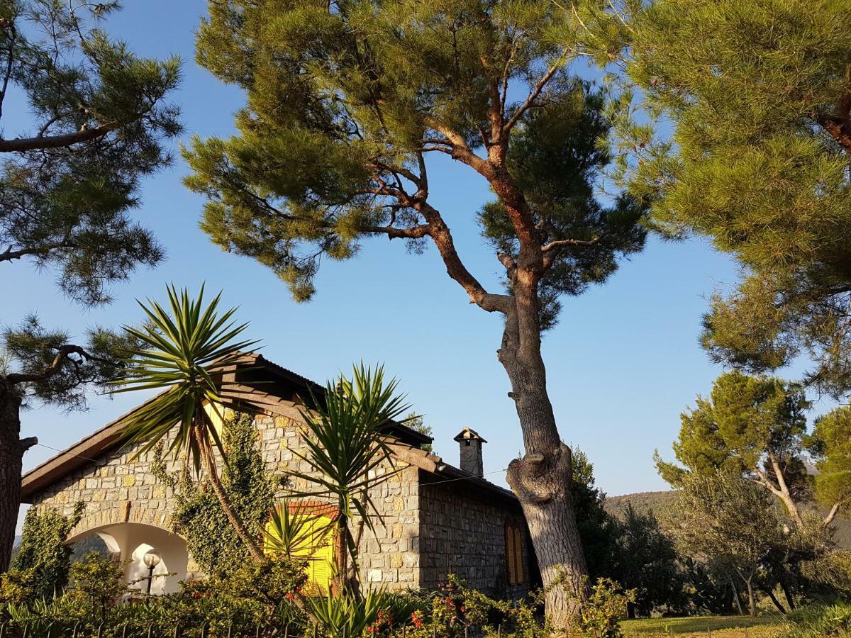 Villa Fior Di Lavanda Cisano sul Neva Extérieur photo