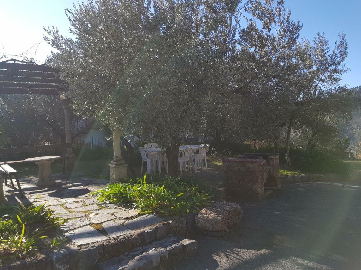 Villa Fior Di Lavanda Cisano sul Neva Extérieur photo